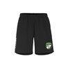 SV Motor Mickten Herren Shorts